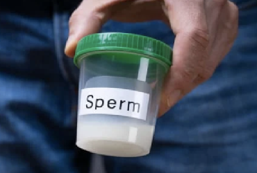 sperm quality