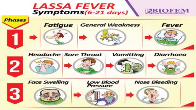 lassa fever