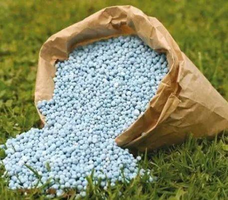 fertilizers