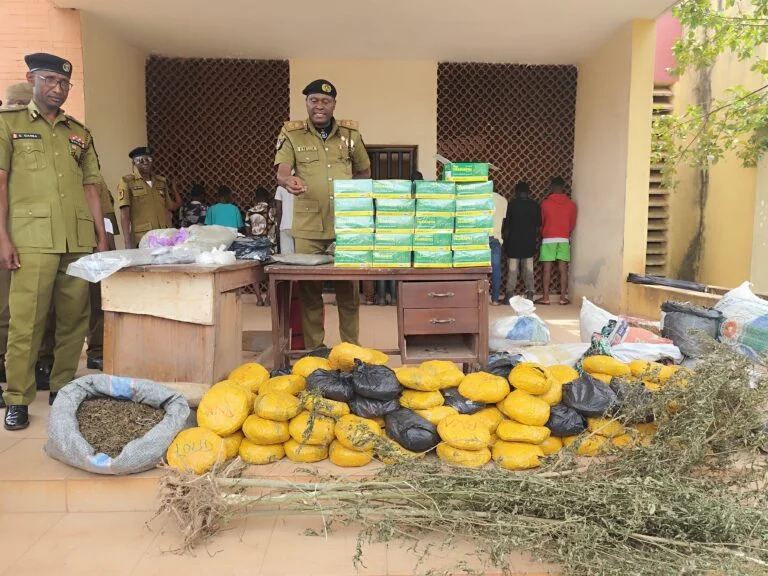 NDLEA Intercepts Over 53 Tons of Illicit Drugs in Edo, Arrests Student Drug Peddler