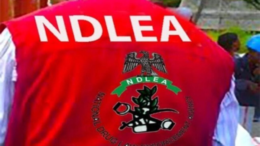 NDLEA Arrests Two Female Influencers Over Cannabis-Laced Cookies in Benin